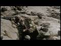 Amazing WWI footage in colour.